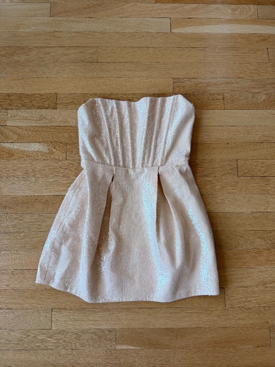 Bronx and Banco Dresses & Skirts - BRONX & BANCO Maraya Corset Nude Sequin Mini Dress